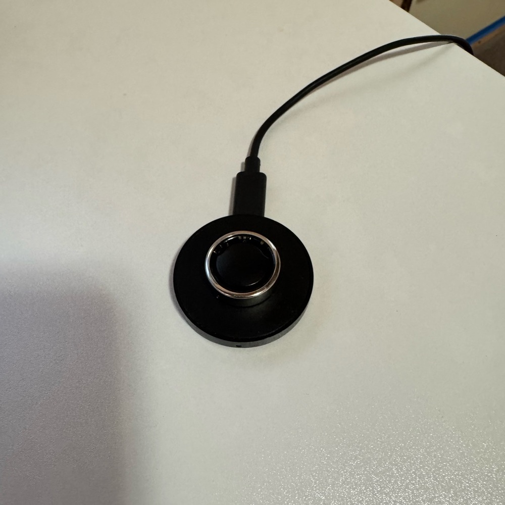 OURA Ring GEN 3 Horizon Silver